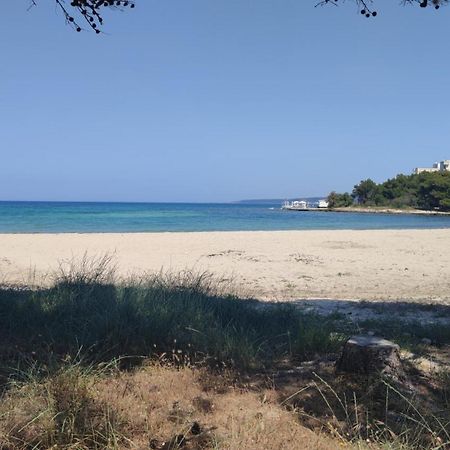 Suite Con Terrazzo Sul Mare E Discesa In Spiaggia A 加利波利 外观 照片