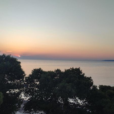Suite Con Terrazzo Sul Mare E Discesa In Spiaggia A 加利波利 外观 照片