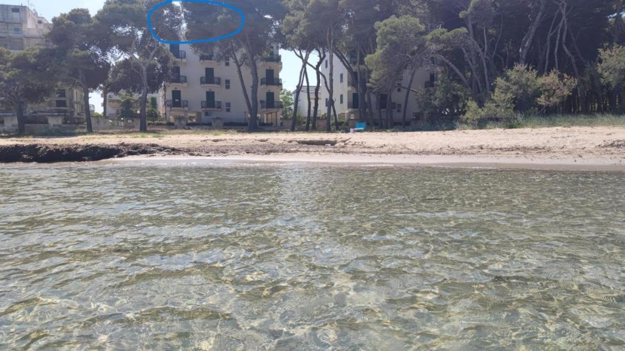 Suite Con Terrazzo Sul Mare E Discesa In Spiaggia A 加利波利 外观 照片